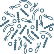 Icon of bacteria