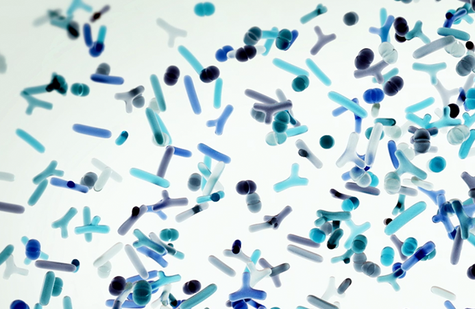 healthy mix of bacteria and bacteroid depicted in shades of blue