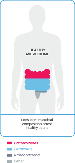 Silhouette of a person’s healthy microbiome showing consistent microbial composition across healthy adults